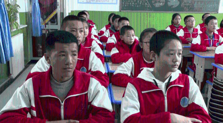 探索穿裙子要穿安全裤嘛知识星球,解放你的求知欲